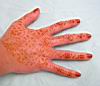 henna_235.jpg